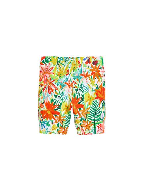 Desigual Leggings  blandingsfarvet