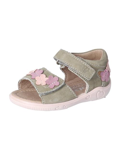 Pepino Sandaler 'TILDI'  khaki / pink