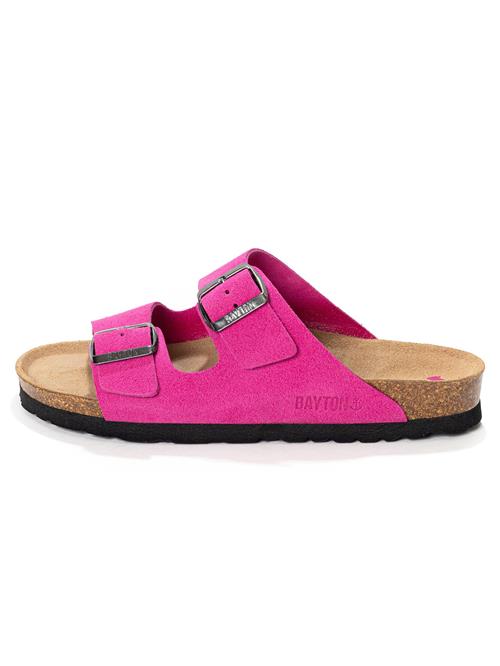 Bayton Pantoletter 'Athena'  pitaya