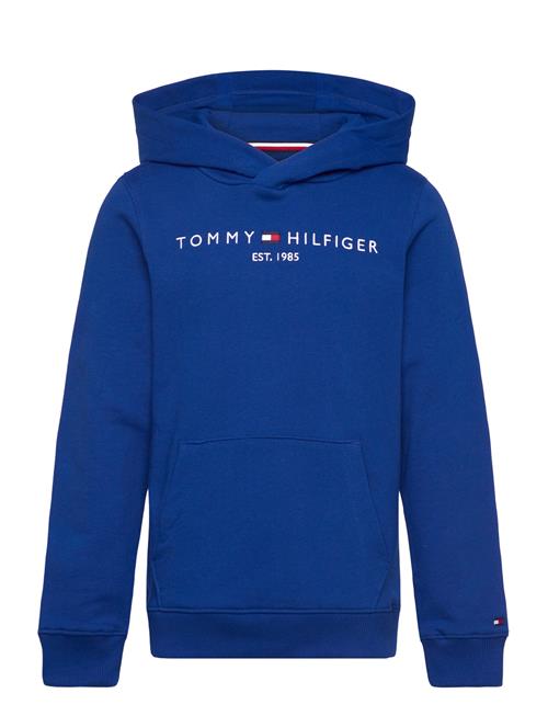 Essential Hoodie Tommy Hilfiger Blue