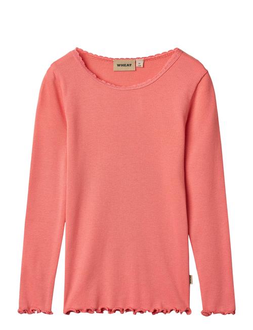 Rib T-Shirt Lace Ls Wheat Coral