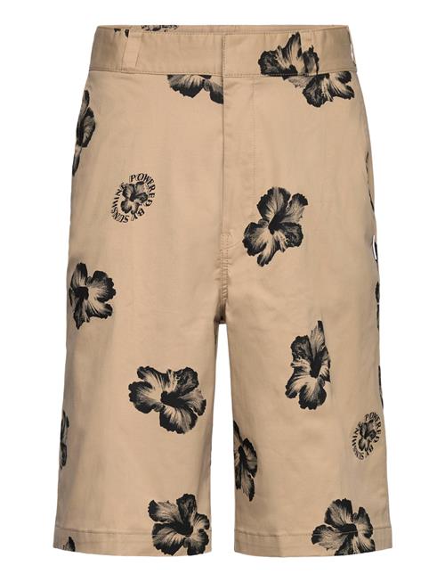 Damo242 HUGO BLUE Beige