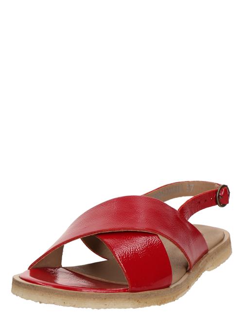 Ca'Shott Sandaler 'Gitta'  rød