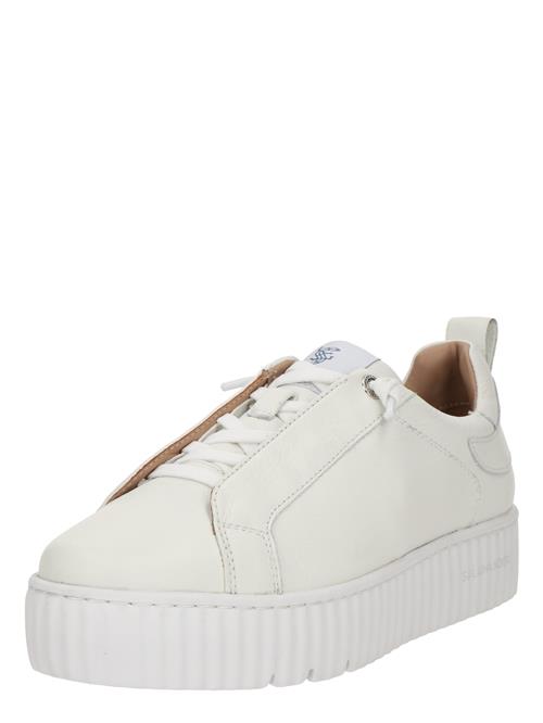 SALAMANDER Sneaker low  hvid