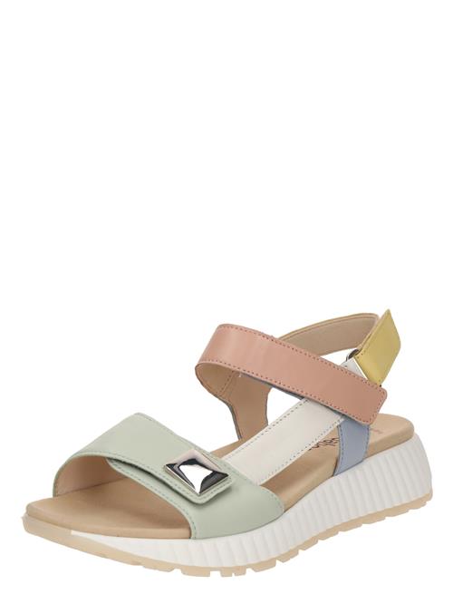 GABOR Sandaler  beige / safran / mint / pudder