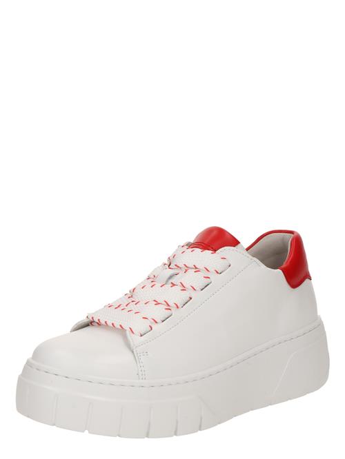 GABOR Sneaker low  blodrød / hvid