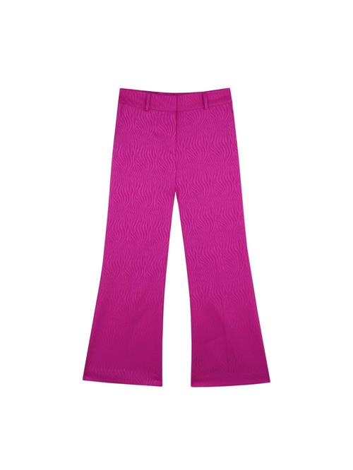 Scalpers Bukser  fuchsia