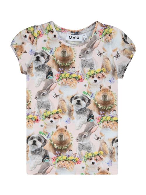 Molo Bluser & t-shirts 'Rimona'  blandingsfarvet