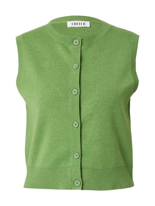 EDITED Pullover 'Alisha'  grøn