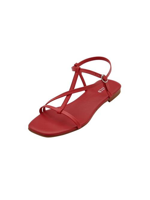 EDITED Sandaler med rem 'Toyah'  rød
