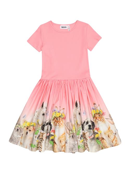 Molo Kjole 'Cissa'  beige / gul / lys pink / hvid