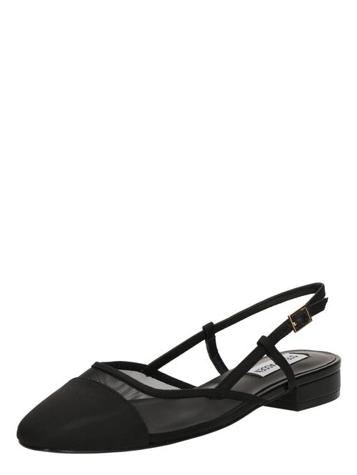 STEVE MADDEN Ballerinasko med rem 'Belinda-M'  sort