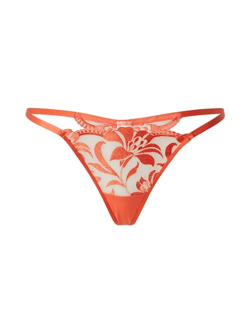 Bluebella String 'Leonora'  koral