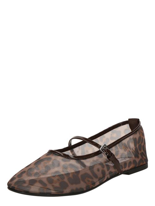 STEVE MADDEN Ballerinasko med rem 'Mash'  beige / brun