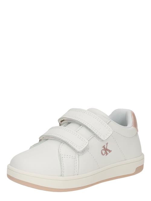 Calvin Klein Jeans Sneakers  gammelrosa / hvid