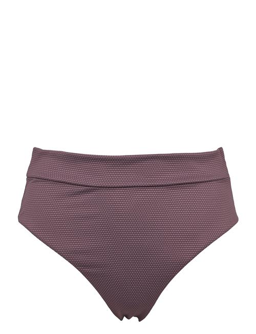 New York Tai Missya Purple