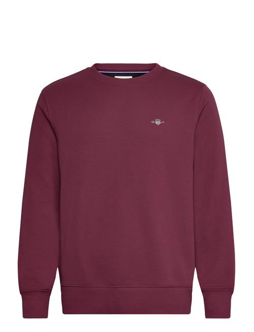 Reg Shield Cneck Sweat GANT Red