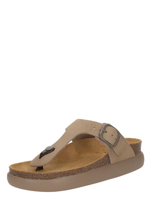 SCHOLL Klipklappere 'ANAIS CHUNKY'  mørkebeige