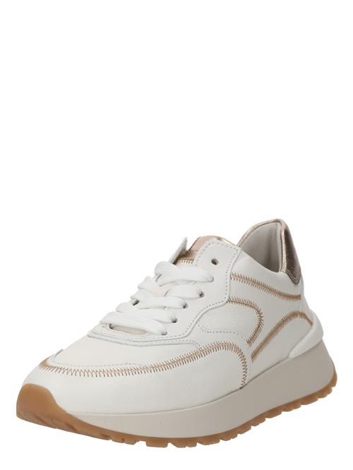 GABOR Sneaker low  beige / creme / guld