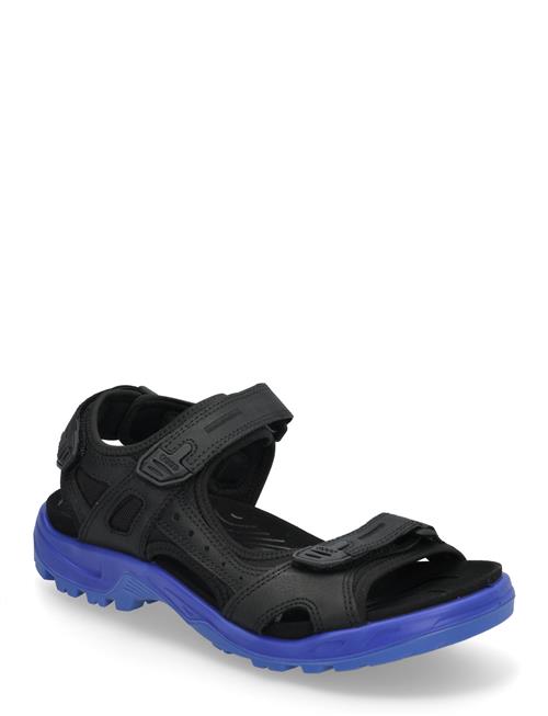 Offroad ECCO Black