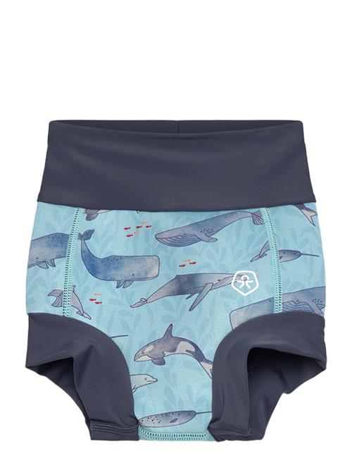 Trunks Aop Color Kids Blue