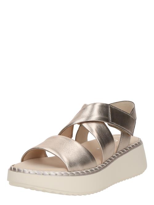 GABOR Sandaler  guld
