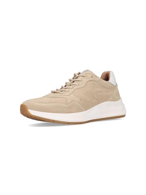 SALAMANDER Sneaker low  beige / hvid