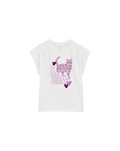 WE Fashion Bluser & t-shirts  lilla / lilla / cyclam / hvid
