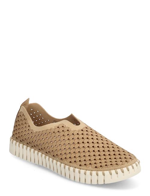 Flats Ilse Jacobsen Brown