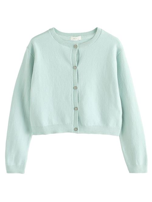 Next Cardigan  mint