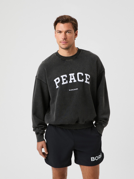Björn Borg Borg Oversized Washed Crew Grå, S