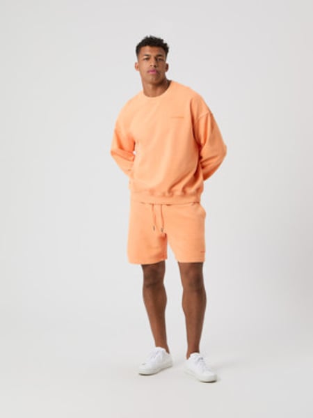 Björn Borg Borg Oversized Washed Sweatshorts Orange, XXL