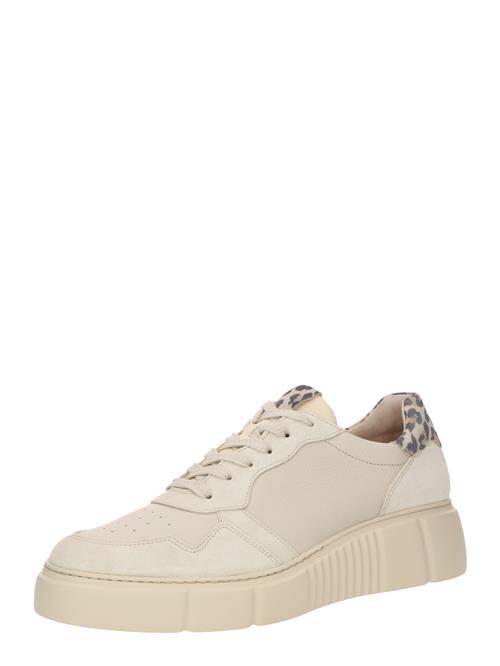 Paul Green Sneaker low  elfenben / sand / brun / sort