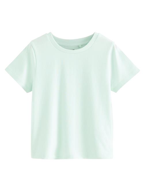 Next Bluser & t-shirts  mint