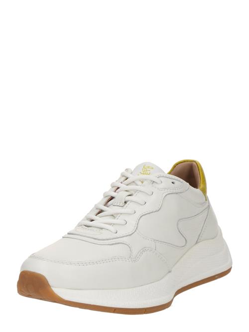 SALAMANDER Sneaker low  curry / hvid