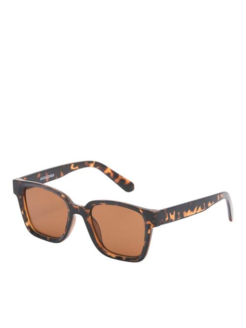 JACK & JONES Solbriller 'JACPontus'  brun / choko