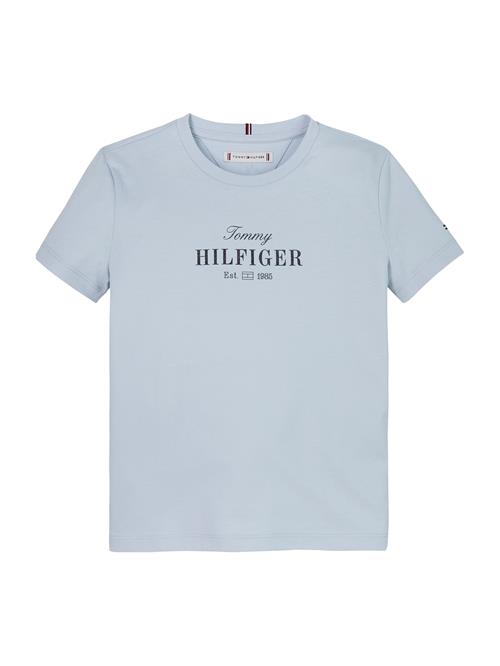 TOMMY HILFIGER Shirts  dueblå / sort