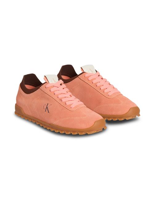 Calvin Klein Jeans Sneaker low  brun / orange