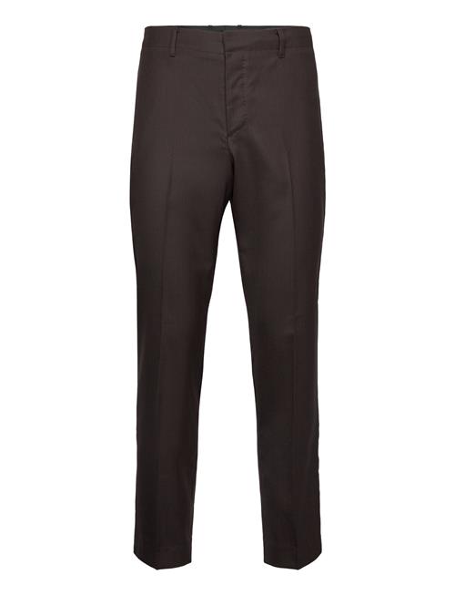 Thorpe Trouser AllSaints Brown