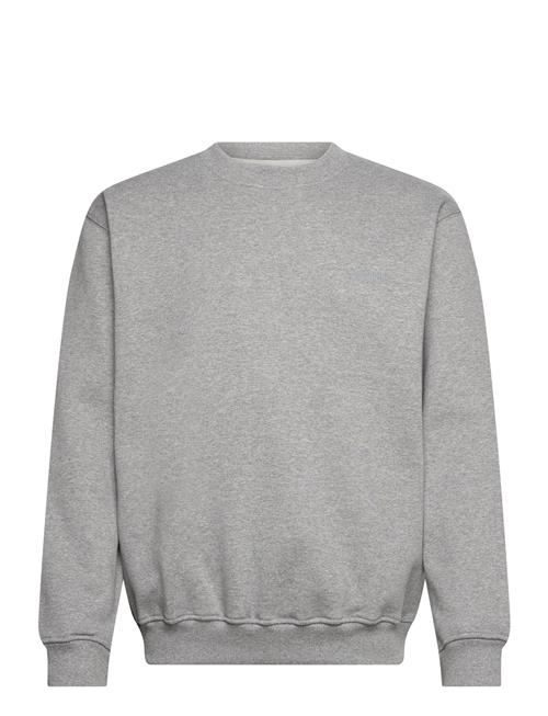 Se Wbcane Base Crew Woodbird Grey ved Booztlet