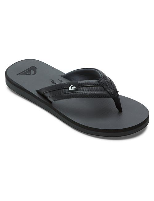Carver Squish Quiksilver Black
