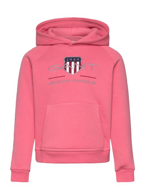 Archive Shield Raglan Hoodie GANT Red