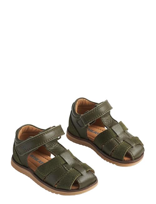 Sandal Sky Wheat Green