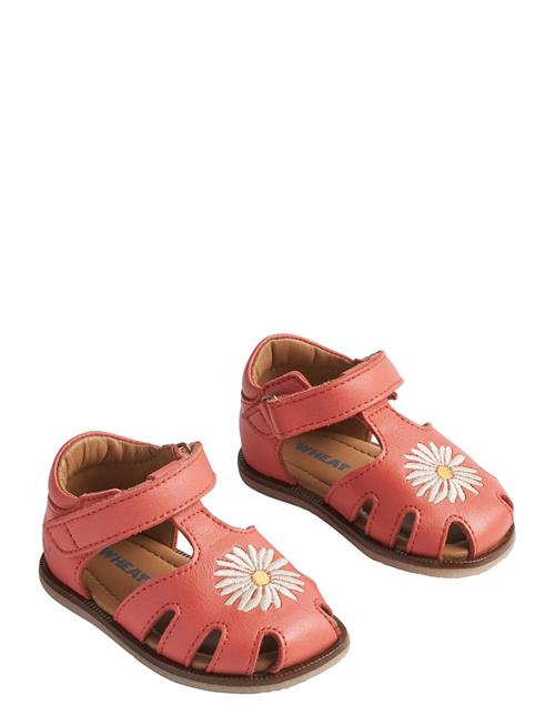 Sandal Lowe Wheat Coral