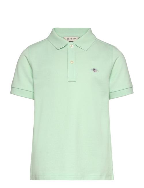 Shield Ss Pique GANT Green
