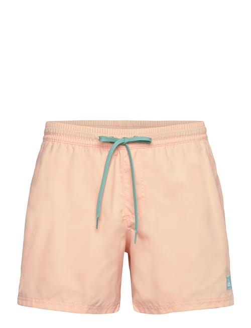 Everyday Solid Volley 15 Quiksilver Orange