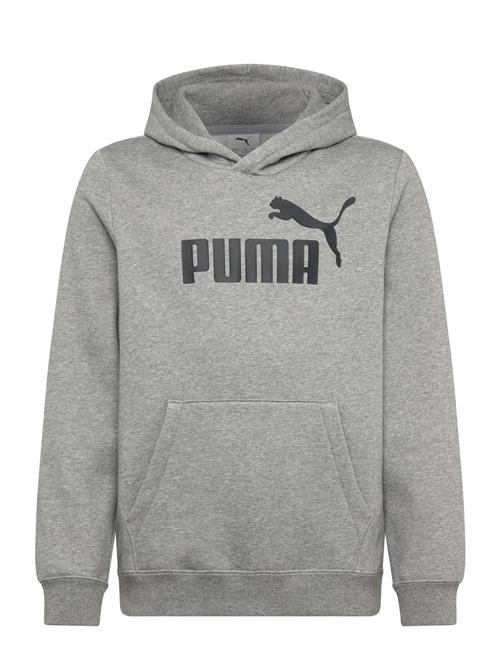 Ess No. 1 Logo Hoodie Fl B PUMA Grey