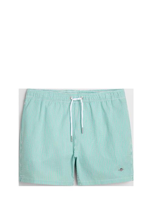 Seersucker Swim Shorts GANT Green
