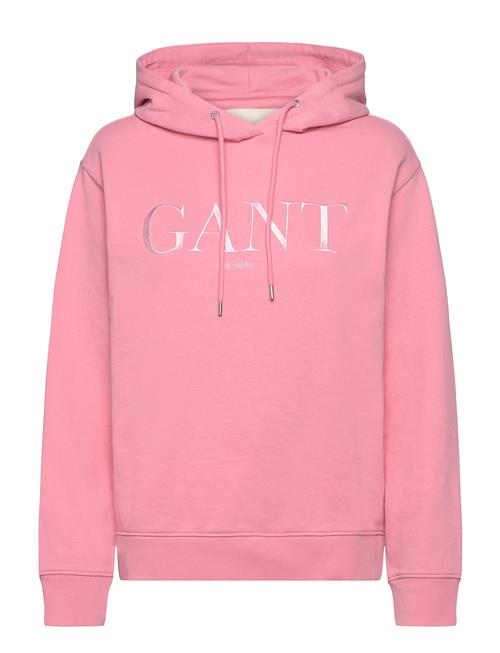 Tonal Graphic Hoodie GANT Pink