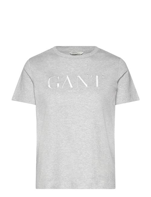 Reg Tonal Graphic Ss T-Shirt GANT Grey